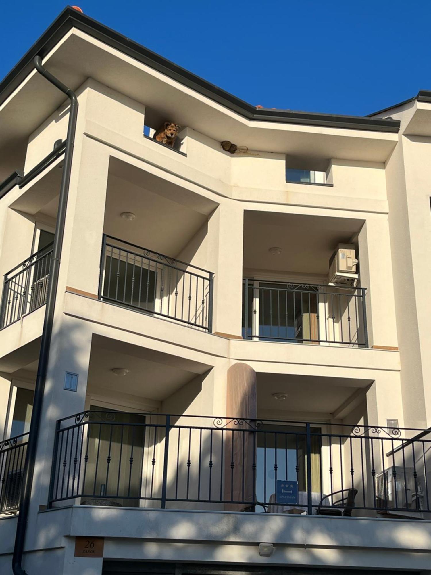Apartments Amore Baška Kültér fotó