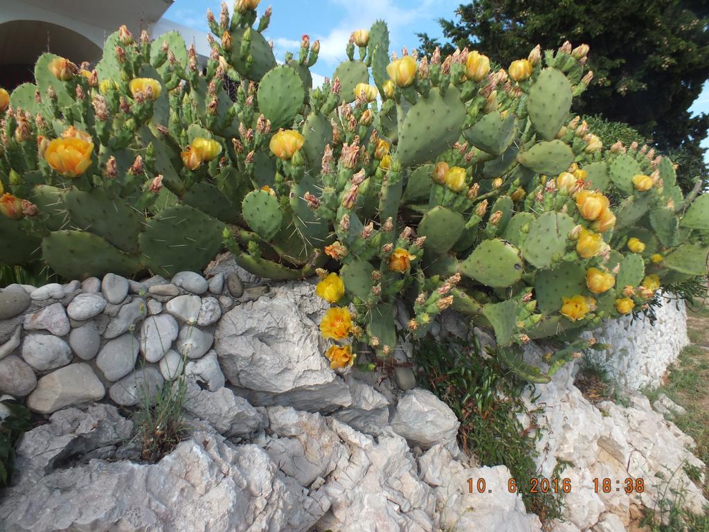 Apartments Amore Baška Kültér fotó